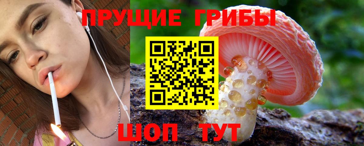 Псилоцибиновые грибы Cubensis  Вход с VPN  Азов 